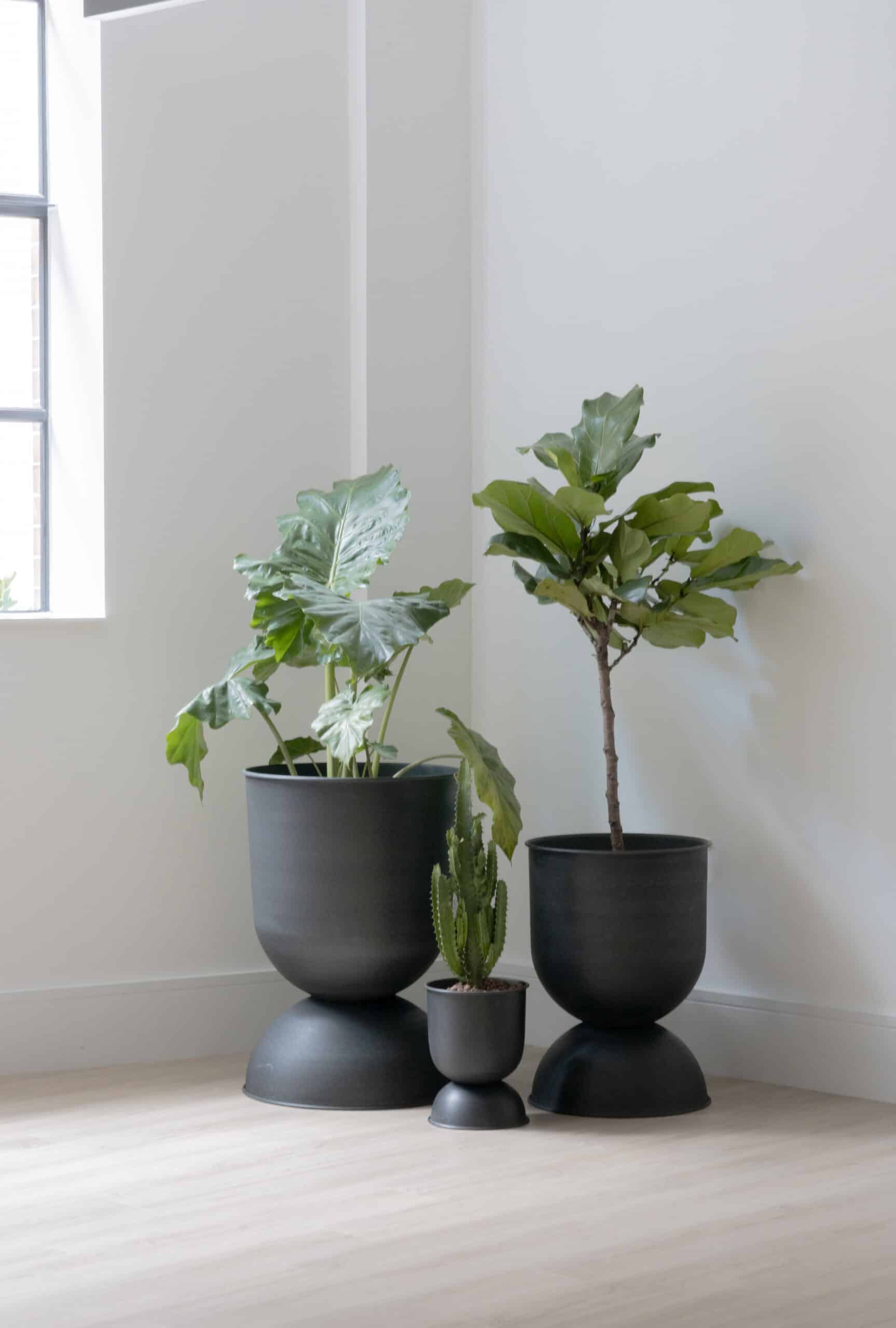 Large plant pots